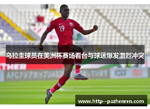 乌拉圭球员在美洲杯赛场看台与球迷爆发激烈冲突